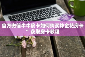 新星游斗牛房卡怎么做人皇大厅透视一分钟讲解“