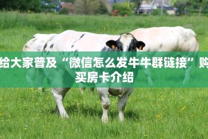 金华房卡在哪买悟空大厅房卡一分钟讲解“