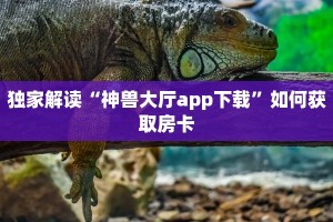 新蜜瓜大厅金花房卡如何购买新西游大厅房卡玩家解答“