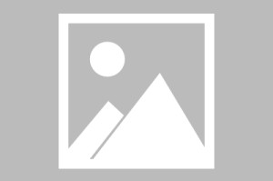 【山东大王疫情最新消息/山东大王职业技术学院】