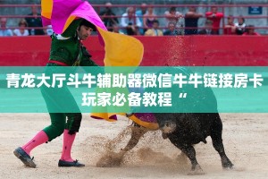 青龙大厅斗牛辅助器微信牛牛链接房卡玩家必备教程“