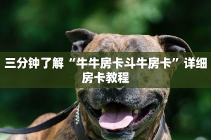 斗牛房卡是从哪买金花斗房卡怎么购买玩家必知“