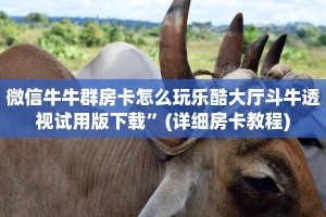 微信金花房卡怎么买新鸿狐大厅怎么买房卡三分钟讲解“