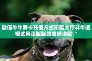 微信牛牛房卡充值方式乐酷大厅斗牛透视试用正版版的靠谱讲解“