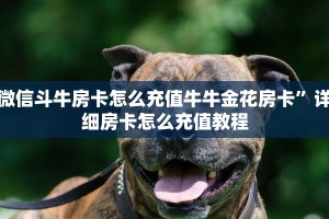 微信牛牛链接版 有房卡狂飙大厅怎么买房卡”获取房卡教程