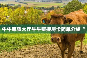 正规房卡拼三张出售平台牛牛链接房卡哪里购买”(详细房卡教程)