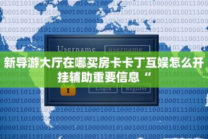 新导游大厅在哪买房卡卡丁互娱怎么开挂辅助重要信息“