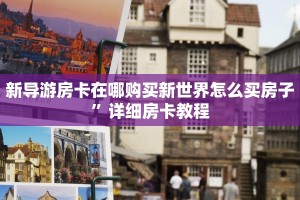 新导游房卡在哪购买新世界怎么买房子”详细房卡教程
