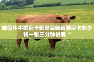 微信牛牛群房卡哪里买新道游房卡多少钱一张三分钟讲解“