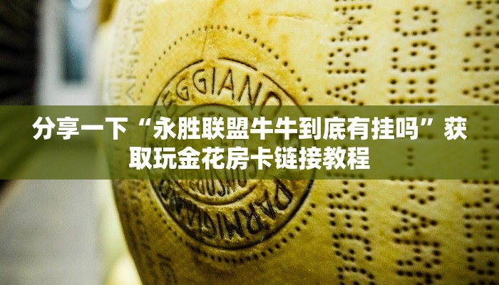 鸿狐大厅正版房卡房卡房怎么样实操教程"
