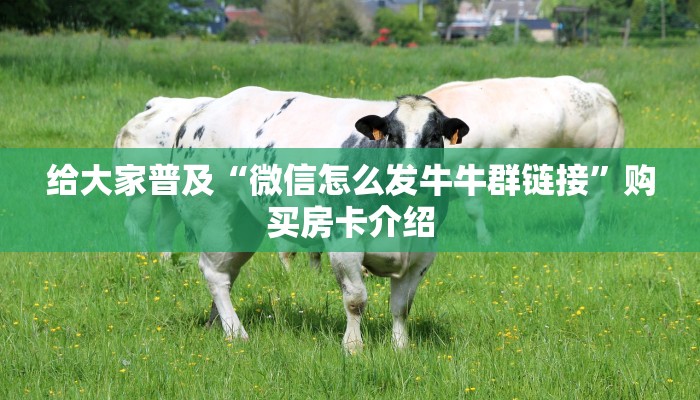 金华房卡在哪买悟空大厅房卡一分钟讲解“