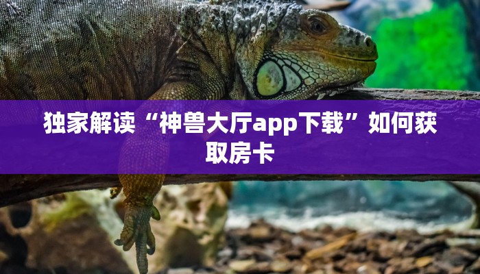新蜜瓜大厅金花房卡如何购买新西游大厅房卡玩家解答“