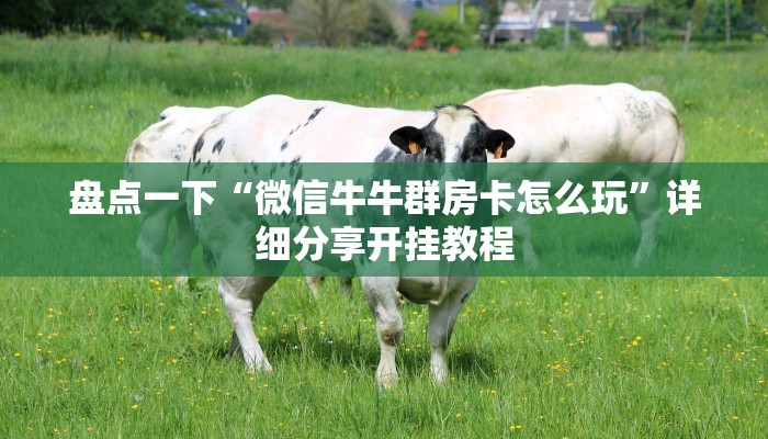 新二号大厅有没有挂新鸿狐大厅怎么买房卡实测教程分享"
