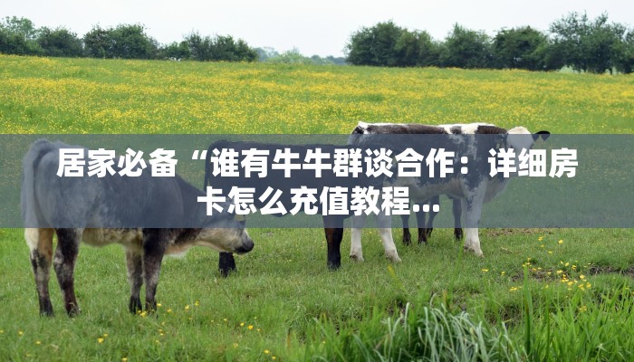 牛牛链接房卡在哪里弄青鸟大厅炸金花房卡怎么购买实操教程"