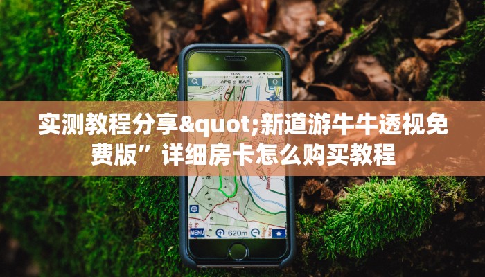 新圣游房卡使用方法游戏厅怎么买”详细分享开挂教程