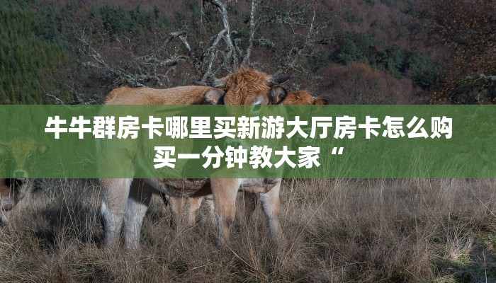 炸金花软件开好友房稳赢大厅购买房卡”教程房卡分享
