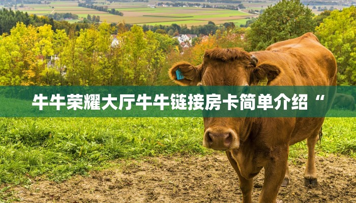 正规房卡拼三张出售平台牛牛链接房卡哪里购买”(详细房卡教程)