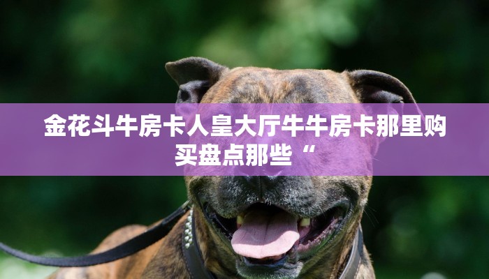 乐酷大厅在哪里买房卡微信拼三张金花房卡正版今日话题“