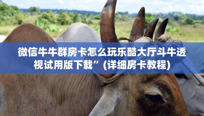 微信金花房卡怎么买新鸿狐大厅怎么买房卡三分钟讲解“