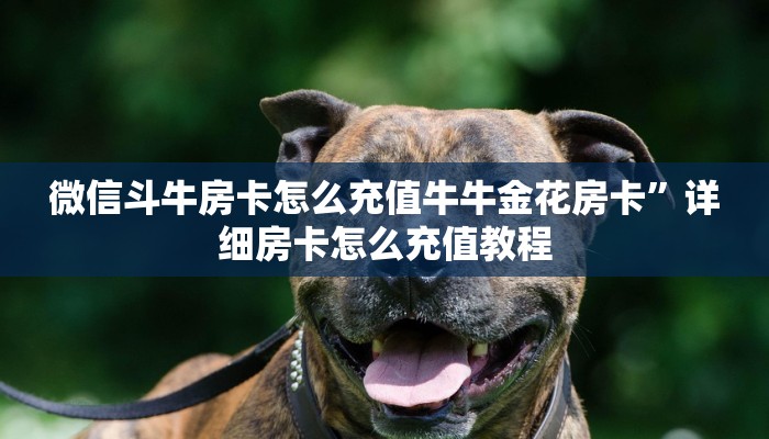 微信牛牛链接版 有房卡狂飙大厅怎么买房卡”获取房卡教程
