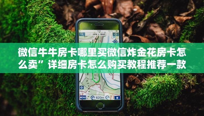 微信牛牛房卡哪里买微信炸金花房卡怎么卖”详细房卡怎么购买教程推荐一款