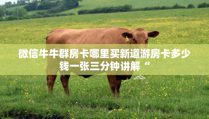 微信牛牛群房卡哪里买新道游房卡多少钱一张三分钟讲解“