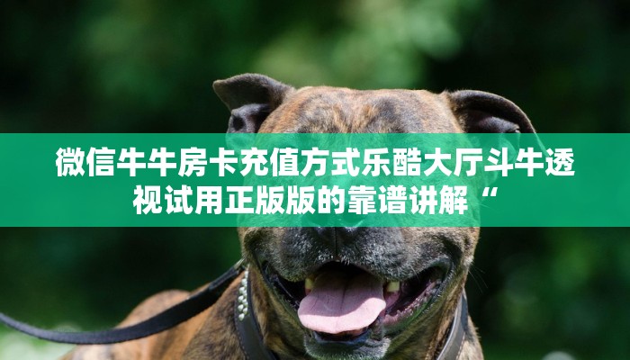 微信牛牛房卡充值方式乐酷大厅斗牛透视试用正版版的靠谱讲解“