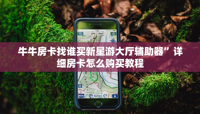 牛牛房卡找谁买新星游大厅辅助器”详细房卡怎么购买教程