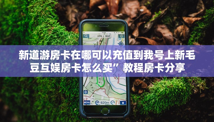 新道游房卡在哪可以充值到我号上新毛豆互娱房卡怎么买”教程房卡分享